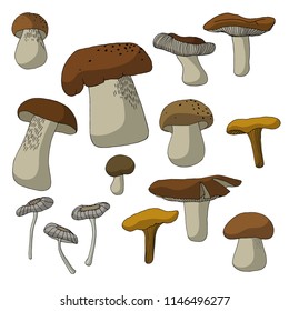 Autumn forest mushrooms different shapes and sizes stickers set vector