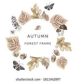 Autumn forest nature frame. Butterfly, bug, beige leaves, nuts, mushroom, white background. Design template with text. Vector illustration. Woodland plants. Fall print
