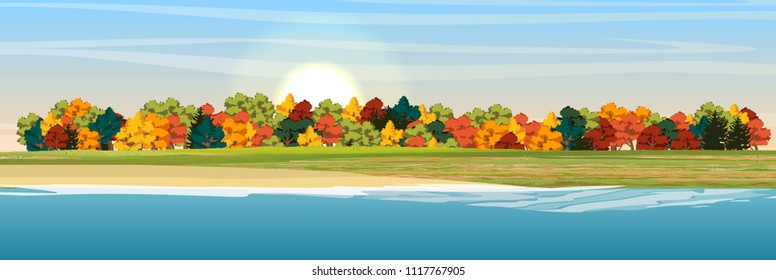 Autumn forest on the shore of a large lake. Bright deciduous trees, grass, sand and waves. Vector landscape.