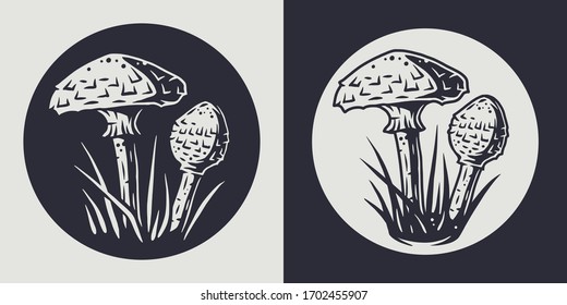 Autumn forest parasol mushroom picking, vegetarian menu