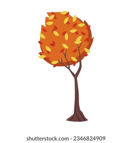 Autumn forest or park tree with orange leaves illustration. Cartoon drawing of autumn tree, leaves on white background. Autumn or fall, season concept