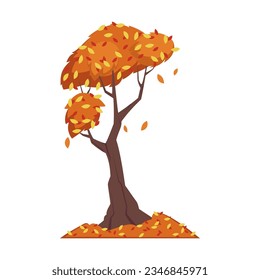 Autumn forest or park tree with orange leaves. Cartoon drawing of autumn tree, leaves on white background. Autumn or fall, season concept