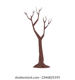 Autumn forest or park tree without leaves illustration. Cartoon drawing of autumn tree on white background. Autumn or fall concept
