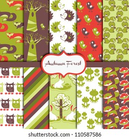 Autumn Forest Pattern Collection