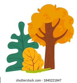 Autumn forest with pine tree and bushes with dried leaves. Landscape in fall season, woodland isolated plants flora of woods. Evergreen spruce and leafy branches of oak, vector in flat style