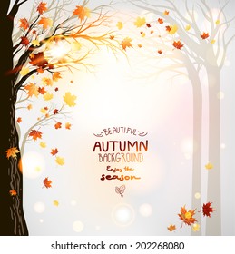 Autumn forest with place for text.Seasonal vector illustration.