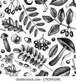 Autumn forest plants seamless pattern. Vector background with mushrooms, leaves, nuts, berries sketches. Vintage fall season design. Botanical illustrations. Thanksgiving day backdrop.