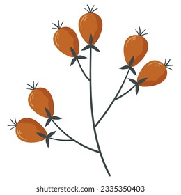 Autumn forest rosehip berry on twig illustration. 