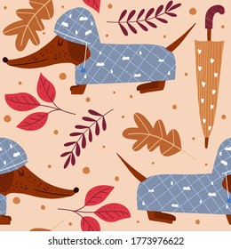 Autumn forest seamless pattern with dachshund. Modern fall seasonal decor. Floral design for wrapping paper, fabrics, covers and cards. Vector cartoon illustration.