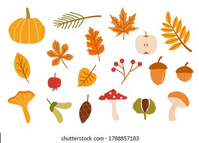 Autumn forest set. Collection of fallen leaves, fir cone, vegetables, berries, acorns, forest mushrooms isolated on white background. Colorful seasonal fall vector elements. Cartoon illustration.