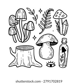 Autumn Forest Witchcraft Vector