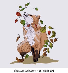 Autumn fox with leaves, vector illustration of fox set