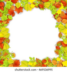 Autumn Frame