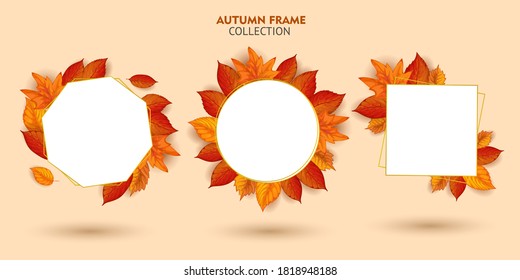 autumn frame background with beautiful leaf decoration