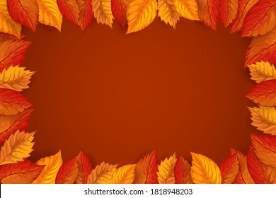 autumn frame background with beautiful leaf decoration