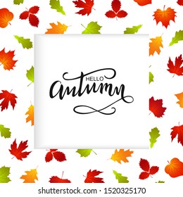 Autumn frame background with fall leaf. Banner for photo, ad, thanksgiving poster. Template design. Hello autumn Vector Illustration