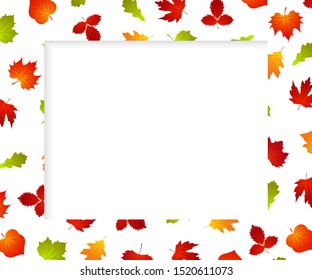 Autumn frame background with fall leaf. Banner for photo, ad, thanksgiving poster. Template design. Vector Illustration