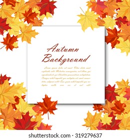 Autumn  Frame With Blank Sheet of Paper and Maple Leaves Over and Under It.  Over White Background. Elegant Design with Text Space and Ideal Balanced Colors. Vector Illustration.
