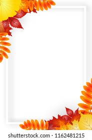 Autumn frame and blank space with maple leaves and background vector illustration.