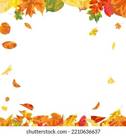 Autumn  Frame With Blowing Leaves  Over White Background. Elegant Design. Vector Illustration.