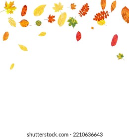 Autumn  Frame With Blowing Leaves  Over White Background. Elegant Design. Vector Illustration.