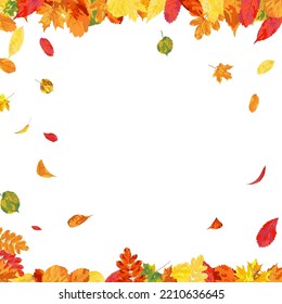 Marco De Otoño Con Hojas De Flor Sobre Fondo Blanco. Diseño elegante. Ilustración vectorial.