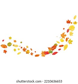 Autumn  Frame With Blowing Leaves  Over White Background. Elegant Design. Vector Illustration.