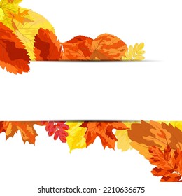 Marco De Otoño Con Hojas De Flor Sobre Fondo Blanco. Diseño elegante. Ilustración vectorial.