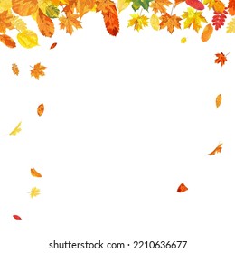 Autumn  Frame With Blowing Leaves  Over White Background. Elegant Design. Vector Illustration.
