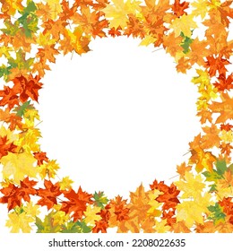 Autumn  Frame With Blowing Maple Leaves  Over White Background. Elegant Design. Vector Illustration.