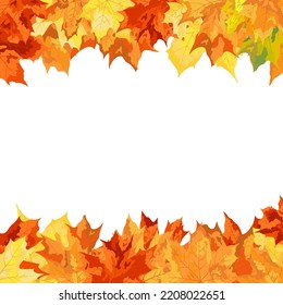 Autumn  Frame With Blowing Maple Leaves  Over White Background. Elegant Design. Vector Illustration.