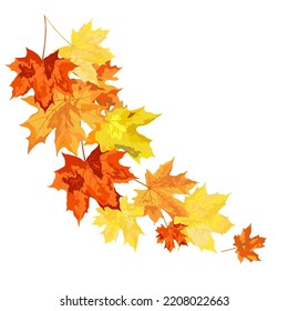 Autumn  Frame With Blowing Maple Leaves  Over White Background. Elegant Design. Vector Illustration.