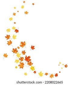 Autumn  Frame With Blowing Maple Leaves  Over White Background. Elegant Design. Vector Illustration.