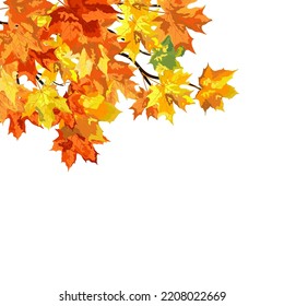 Autumn  Frame With Blowing Maple Leaves  Over White Background. Elegant Design. Vector Illustration.