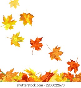 Autumn  Frame With Blowing Maple Leaves  Over White Background. Elegant Design. Vector Illustration.