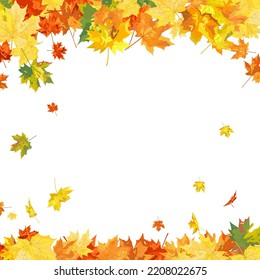 Autumn  Frame With Blowing Maple Leaves  Over White Background. Elegant Design. Vector Illustration.