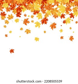 Autumn  Frame With Blowing Maple Leaves  Over White Background. Elegant Design. Vector Illustration.