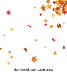 Autumn  Frame With Blowing Maple Leaves  Over White Background. Elegant Design. Vector Illustration.