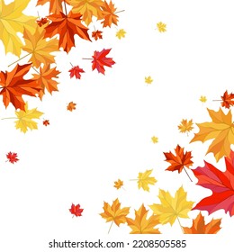 Autumn  Frame With Blowing Maple Leaves  Over White Background. Elegant Design. Vector Illustration.