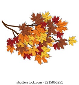 Autumn frame with blowing maple leaves over white Background. Elegant maple fall sketch doodle design. Vector Illustration.