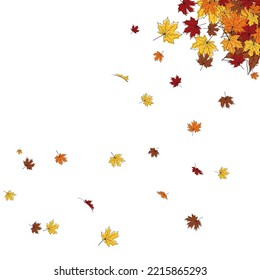 Autumn frame with blowing maple leaves over white Background. Elegant maple fall sketch doodle design. Vector Illustration.