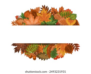 autumn frame, a lot of bright fallen leaves and rowan berries in border with a empty center. colorful vector illustration on an autumn theme