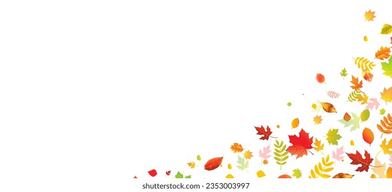 Autumn Frame With Bright Leaves With Gradient Mesh, Vector Illustration