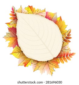 Autumn frame with fall leaf. EPS 10 vector file included
