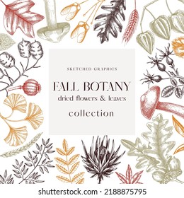 Autumn frame with fall leaves and dried flowers. Thanksgiving banner design. Fall card or invitation. Sketched dried herbs, falling leaves, mushrooms, seeds frame. Colorful botanical  illustration