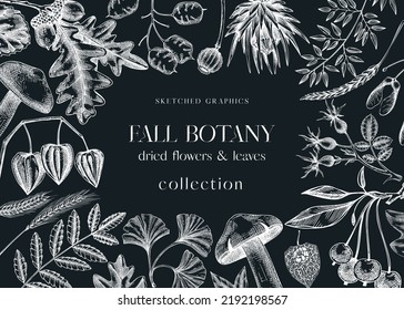 Autumn frame with fall leaves and dried flowers. Thanksgiving background. Fall card or invitation design. Sketched flowers, falling leaves, mushrooms, seeds frame. Botanical illustration on chalkboard