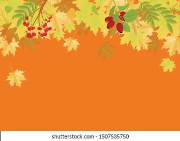 Autumn frame with falling leaves vector. Autumn leaves border. Autumn vector illustration. Autumn falling leaves vector. Colorful falling leaves illustration