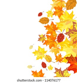 Autumn  Frame With Falling  Maple and Birch Leaves on White Background. Elegant Design with Text Space and Ideal Balanced Colors. Vector Illustration.