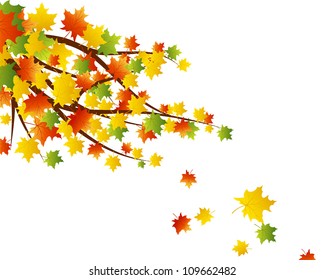 Autumn  Frame With Falling  Maple Leaves on White Background. Elegant Design with Text Space and Ideal Balanced Colors. Vector Illustration.