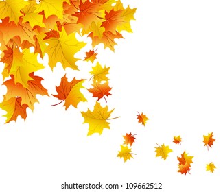 Autumn  Frame With Falling  Maple Leaves on White Background. Elegant Design with Text Space and Ideal Balanced Colors. Vector Illustration.